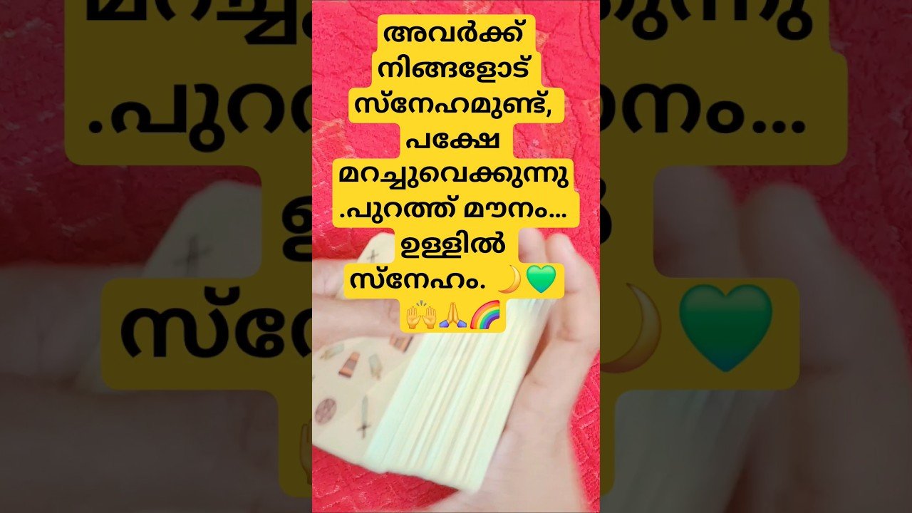 No momento, você está visualizando #shortsviral #whatscomingupinlovelife #tarotcardreading#astrology#tarot #currentfeelings#tarotreader