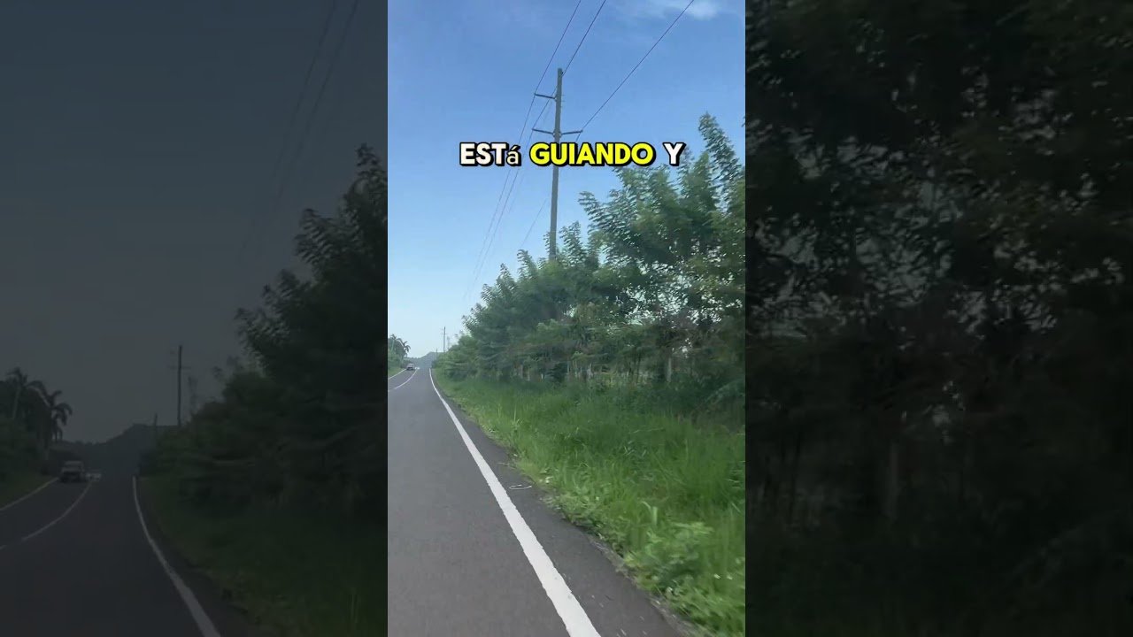 No momento, você está visualizando #sound #tarot #los5minutosdelespiritusanto #amor #horoscopo