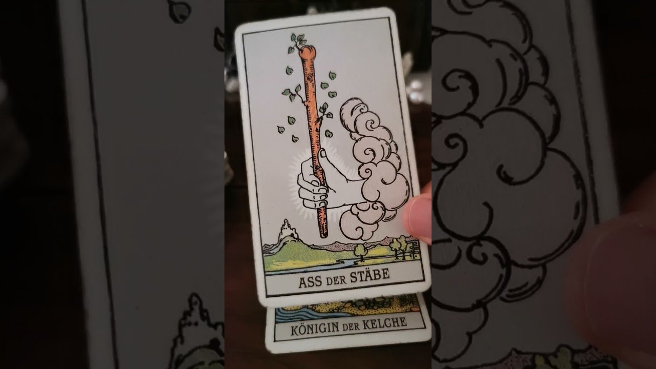 No momento, você está visualizando #tarot