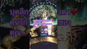 Leia mais sobre o artigo #tarot ❤️ love2499 #ดูดวงไพ่ยิปซีส่วนตัวid line0863340156🙏