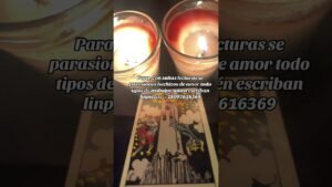 Leia mais sobre o artigo #tarot #amarres #horoscopo para trabajos y consultas escríbeme al link que está en mi perfil amén