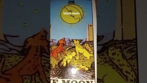 Leia mais sobre o artigo #tarot #gemintangtarot #real #tarotreading #belajartarot #tarotcards #shorts #fyp #reaction #short