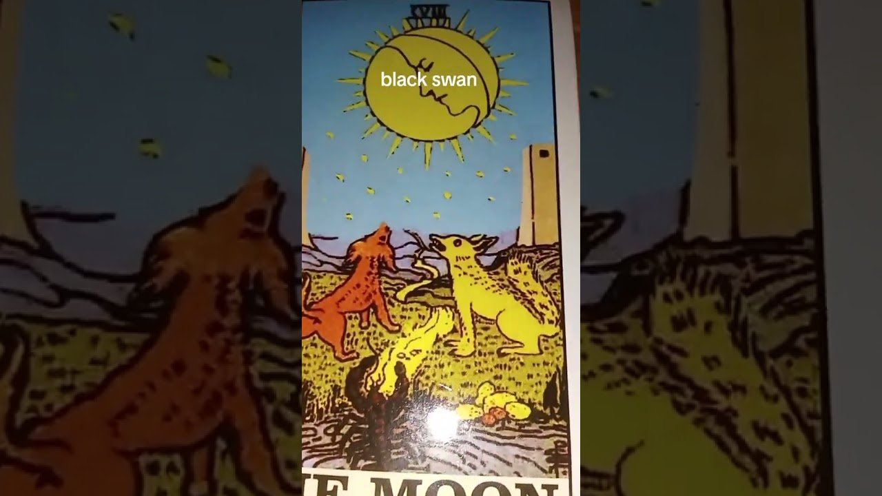 No momento, você está visualizando #tarot #gemintangtarot #real #tarotreading #belajartarot #tarotcards #shorts #fyp #reaction #short
