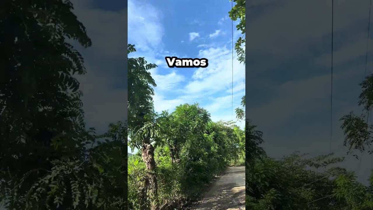 No momento, você está visualizando #tarot #los5minutosdelespiritusanto #amor #sound #horoscopo #plantas
