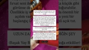 Leia mais sobre o artigo #tarot #tarotaçılımı #astrolojiyorumu #astrolojiyolculugu #tarotokuma #tarotacilimi #tarotokuyucu