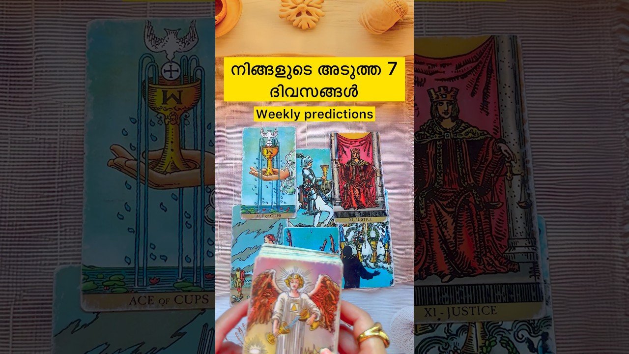 No momento, você está visualizando #tarot #tarotreading #divineguidance #astrology #soul #love #weeklytarot #dailytarot #karma #df #dm