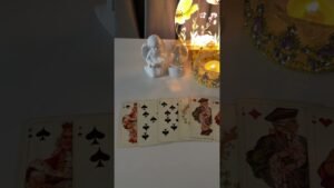 Leia mais sobre o artigo #tarot #tarotreading #love #foryou #video #youtubeshorts #shortvideo