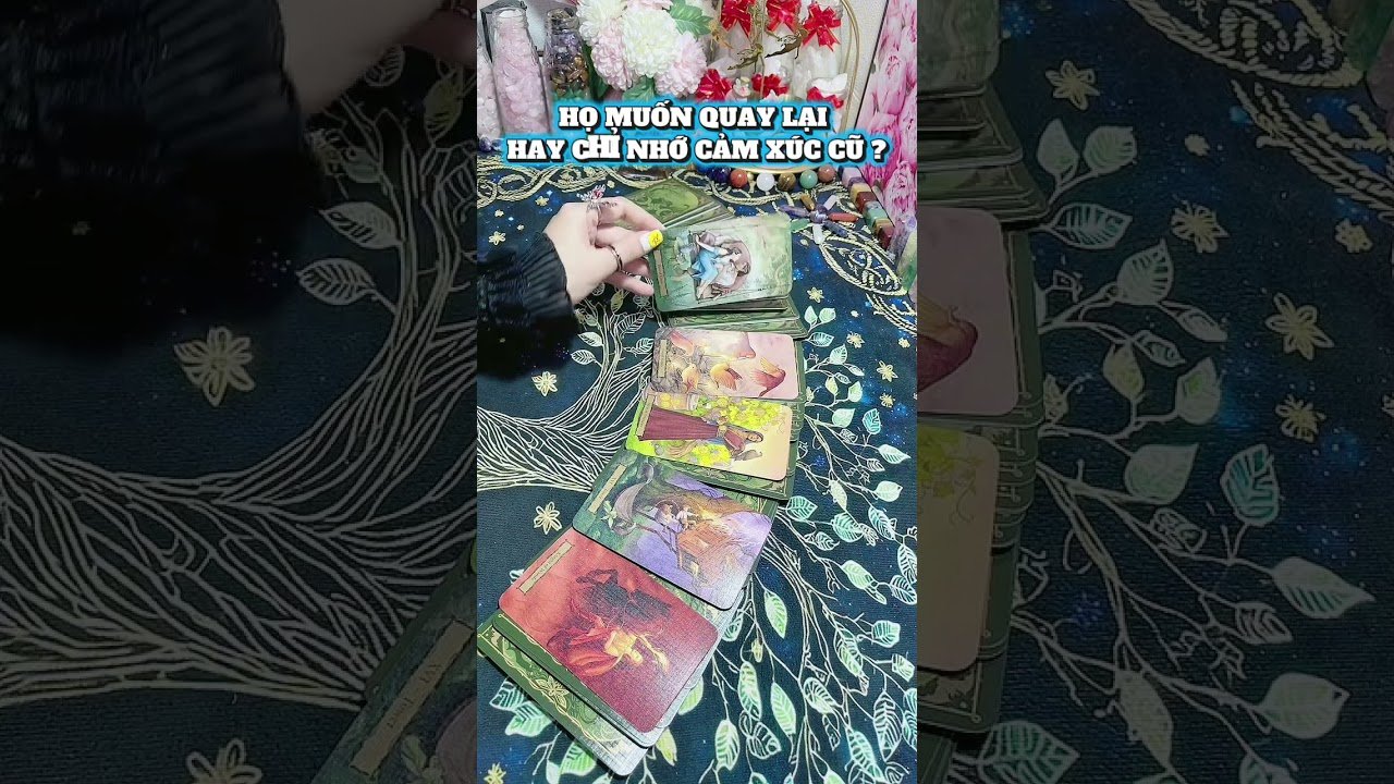 No momento, você está visualizando #tarot #xuhuong #strend #ChiTarotLove #xembaitarot #tubai #tarottinhyeu #tarottinhcam #chualanh