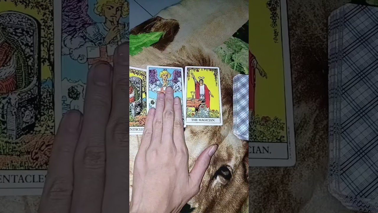 No momento, você está visualizando #tarotcards #tarotonline #tarotreader #tarotreading #tarot