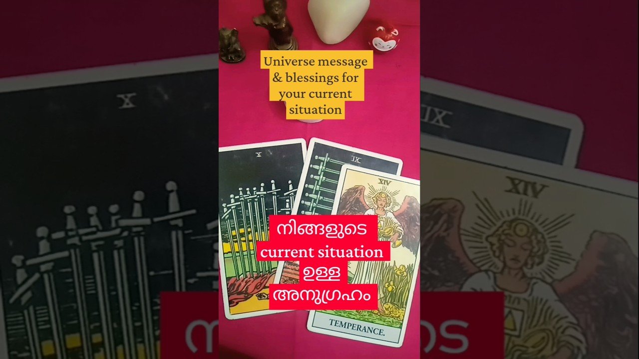 No momento, você está visualizando #tarot#malayalamtarotcardreading#universemessage#shorts