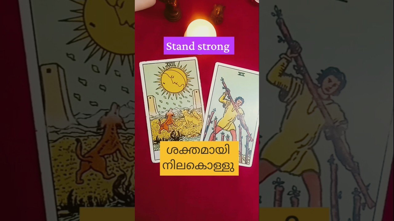 No momento, você está visualizando #tarot#malayalamtarotcardreading#universemessage#shorts