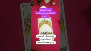 Leia mais sobre o artigo #tarot#relationshipreading#shorts