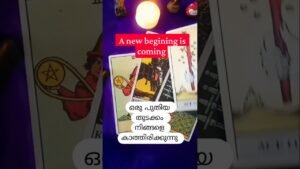 Leia mais sobre o artigo #tarot#tarotcardblessings#newbeginnings#shorts