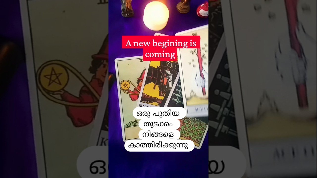 No momento, você está visualizando #tarot#tarotcardblessings#newbeginnings#shorts