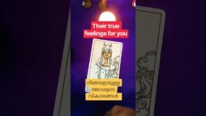 Leia mais sobre o artigo #tarot#tarotcardreading#truefeelingsrevealed#shorts