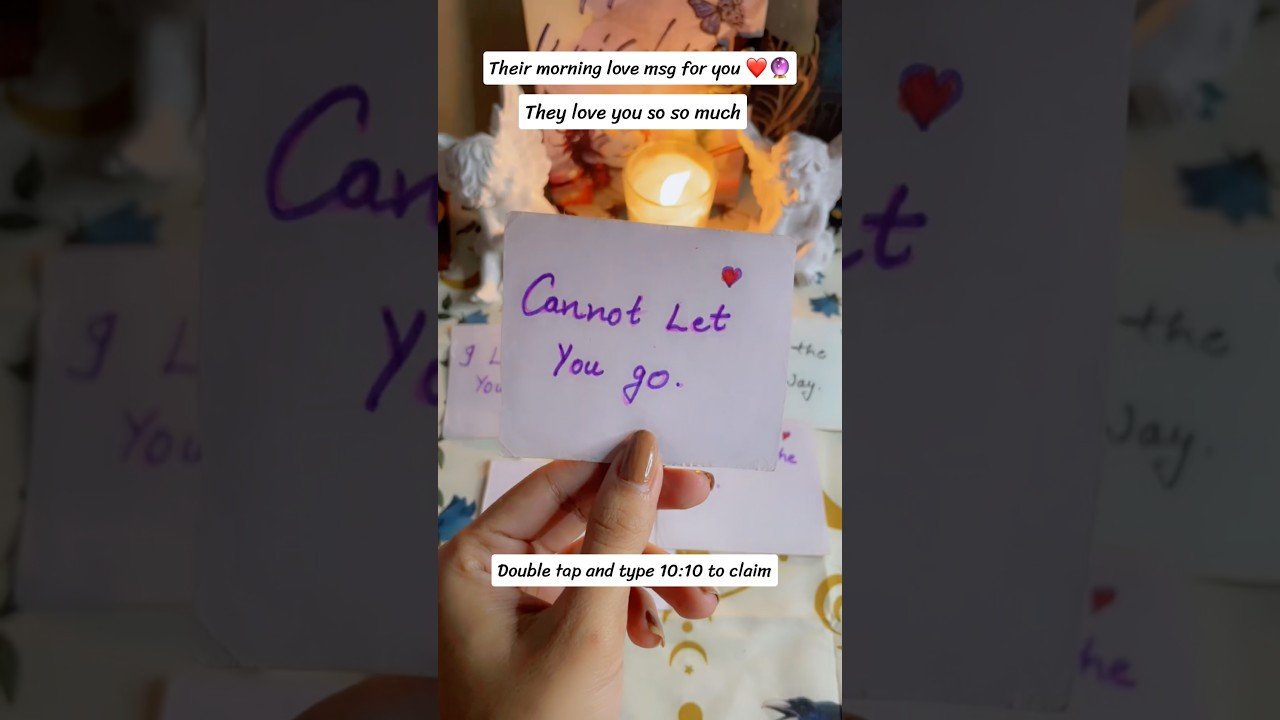 No momento, você está visualizando They love you so so so much 😍❤️#tarot#trending #shorts#explore#viral#fyp
