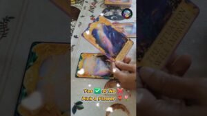 Leia mais sobre o artigo Yes ✅ or No ❌ pick a crystal 🌹🌷🧿 #tarot #yesnoreading