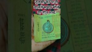 Leia mais sobre o artigo तुलसी में पानी डालते समय बोल रही तीन शब्द #tarot #facts #apollotarot #readtarot #tarotscope