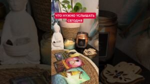 Leia mais sobre o artigo ПОСЛАНИЕ НА СЕГОДНЯ! #oracle #таро #tarot #shorts #питер#картадня #саморазвитие #осознанность #love