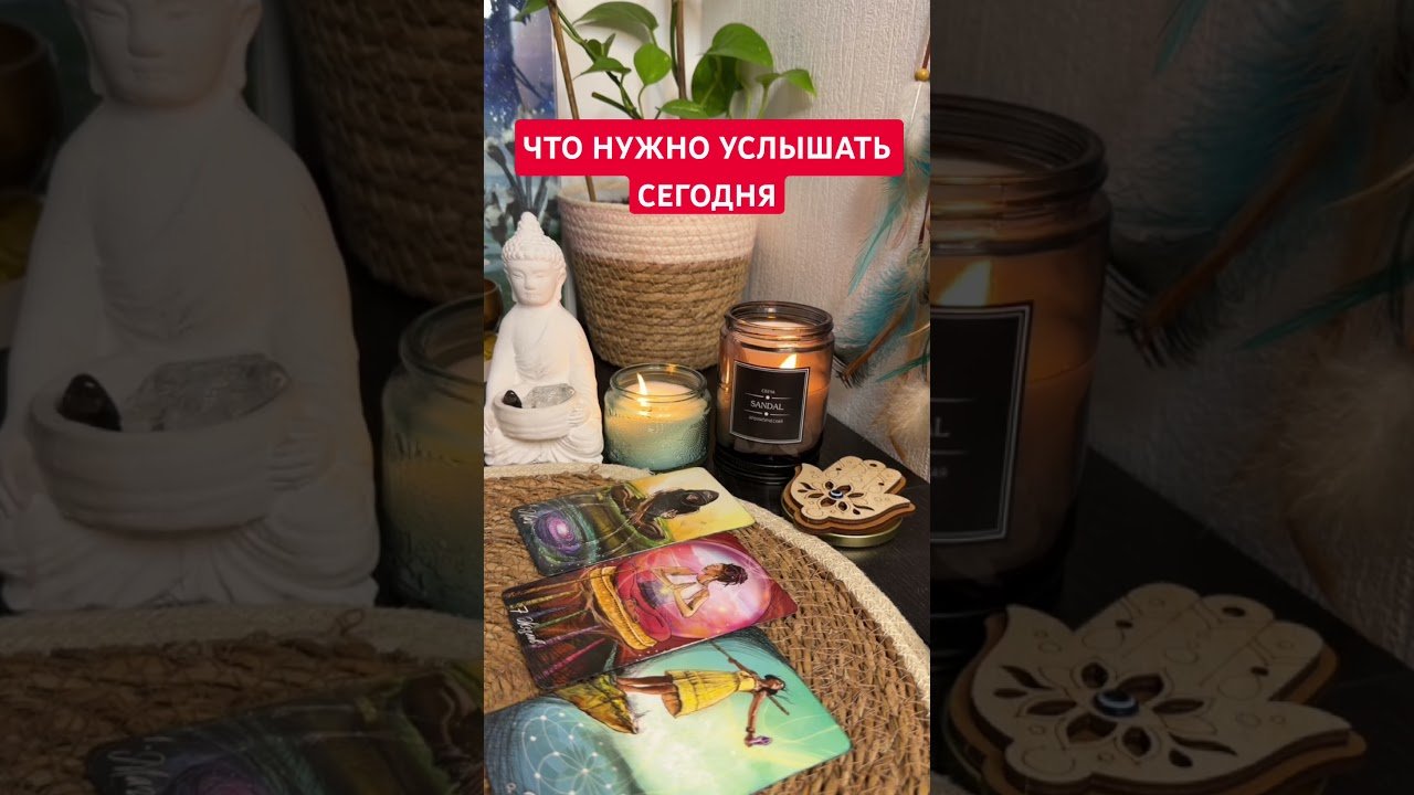 No momento, você está visualizando ПОСЛАНИЕ НА СЕГОДНЯ! #oracle #таро #tarot #shorts #питер#картадня #саморазвитие #осознанность #love