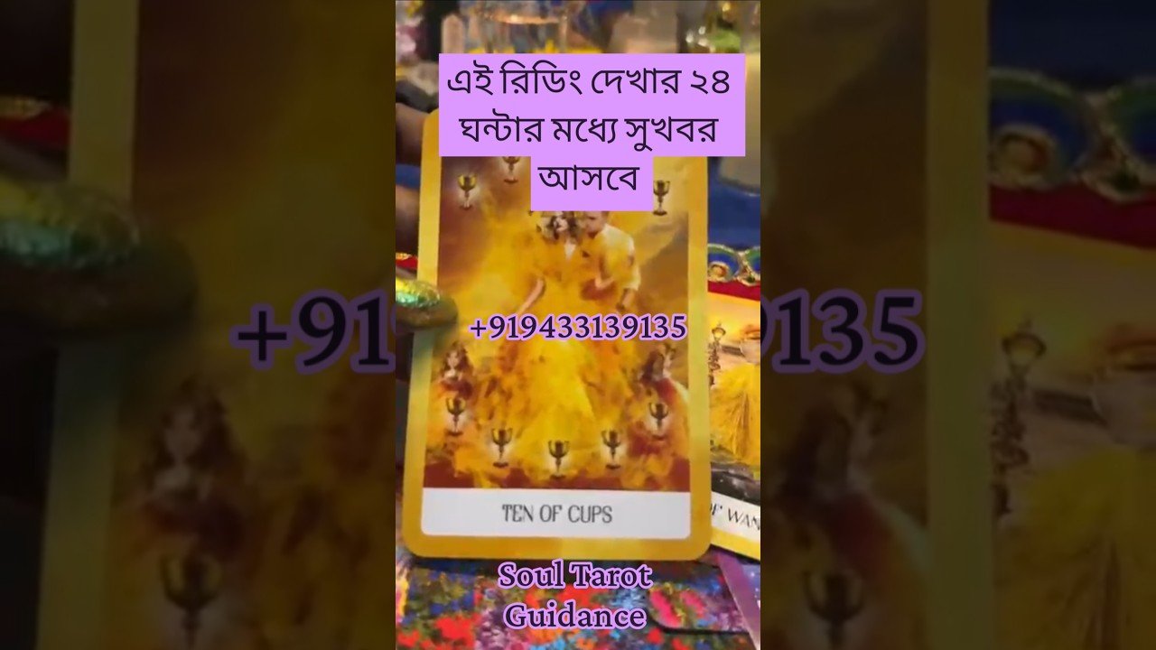 No momento, você está visualizando এই রিডিং দেখার 28ঘন্টার মধ্যেই তোমার সুখবর আসবে ✨#reels #tarot #readtarot #youtubetarot