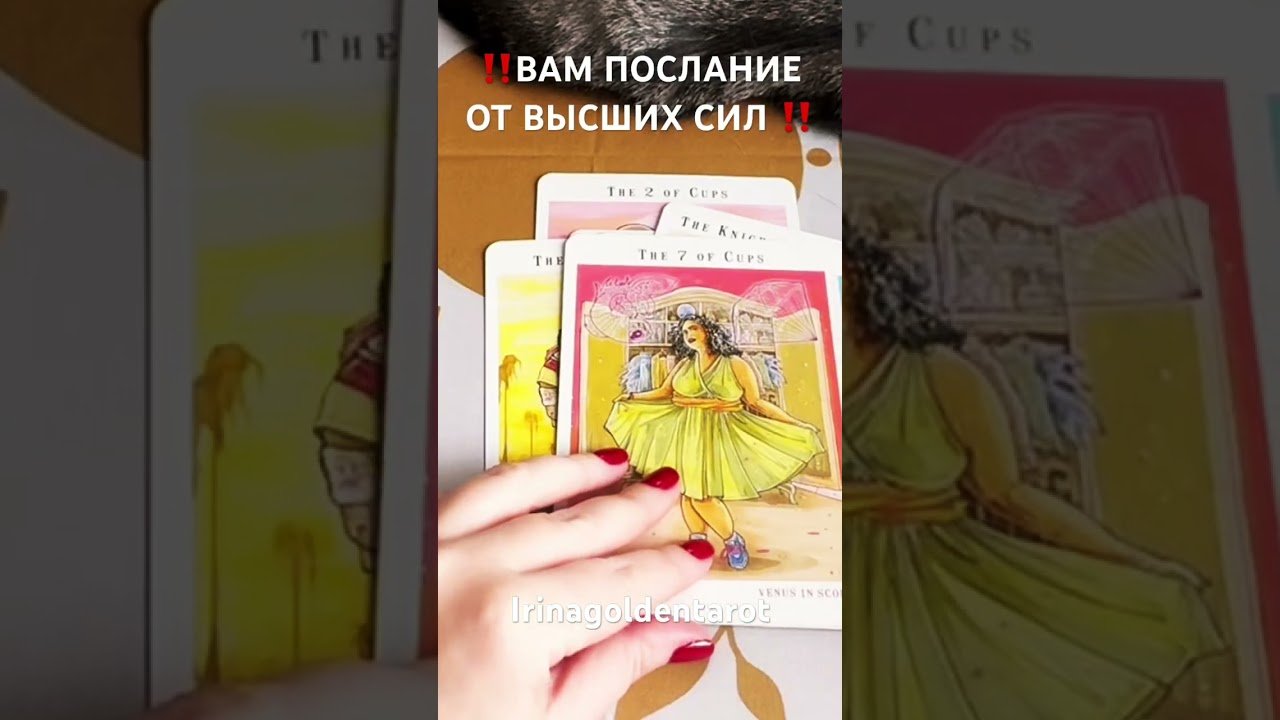 No momento, você está visualizando ‼️ВАМ ПОСЛАНИЕ ОТ ВЫСШИХ СИЛ ‼️ #таро #tarot #рекомендации