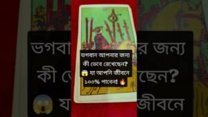 Leia mais sobre o artigo ভগবান আপনার জন্য কী ভেবে রেখেছেন?  যা  জীবনে ১০০% পাবেন! #tarot #tarotreading #bengalitarotreading