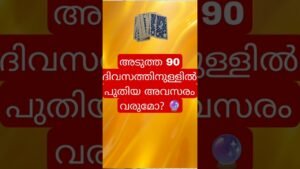 Leia mais sobre o artigo പുതിയ അവസരം വരുമോ? 🔮#tarot #shorts
