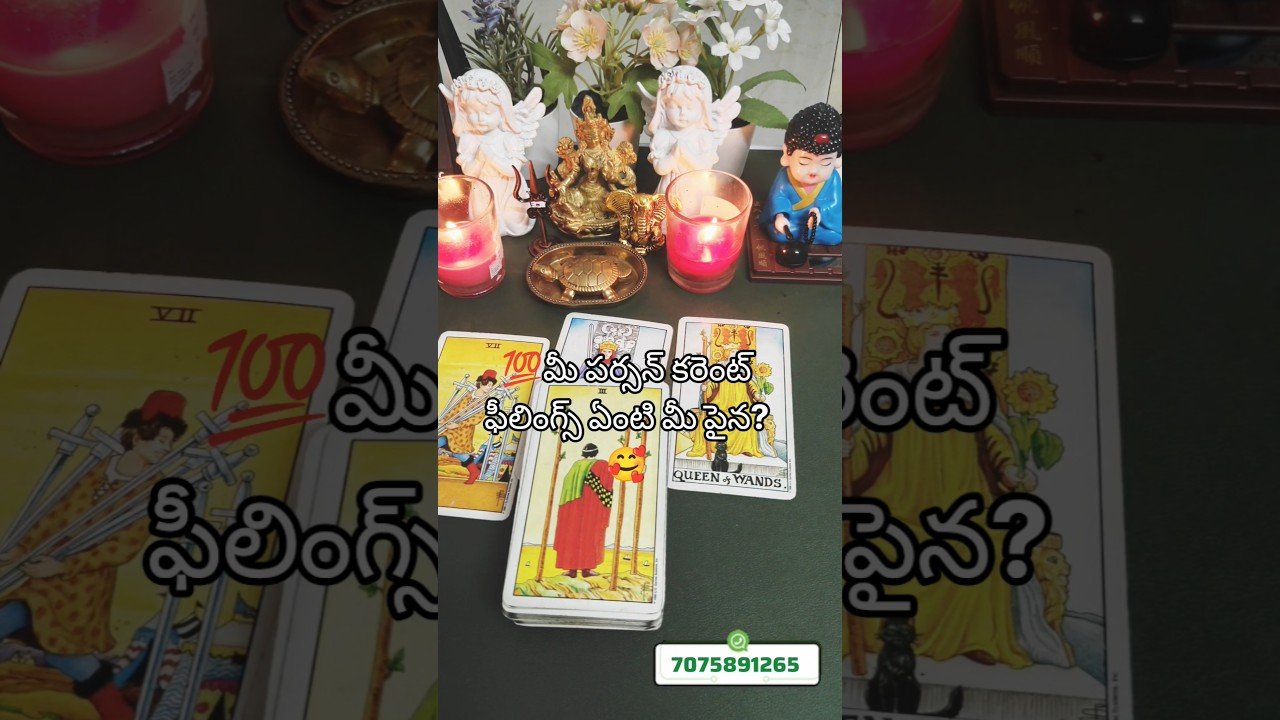 No momento, você está visualizando ❤️💯❤️మీ పర్సన్ కరెంట్ ఫీలింగ్స్ ఏంటి మీపైన?#shorts #ytshorts #tarot #trending #divinestartarot369