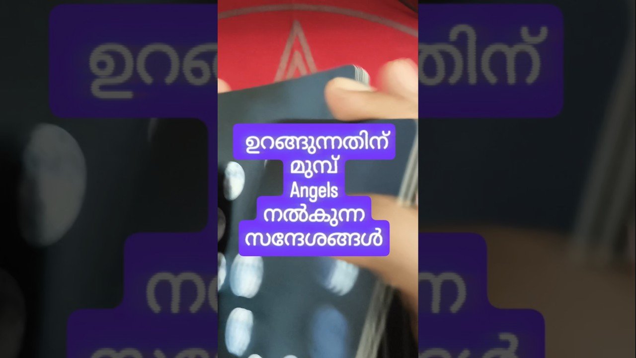 No momento, você está visualizando പരിശ്രമത്തിന് ഫലം കിട്ടേണ്ട സമയമാണ് #angeloracle #malayalmtarotreading #tarot