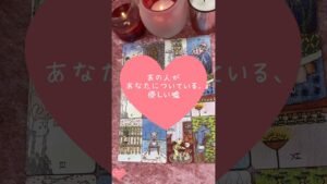 Leia mais sobre o artigo あの人があなたについている、優しい嘘🎀🔮#恋愛占い#タロット#個人鑑定※無断転載、無断転用禁止