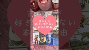Leia mais sobre o artigo あの人が好きと言わない本当の理由🎀🔮#恋愛占い#タロット#個人鑑定※無断転載、無断転用禁止