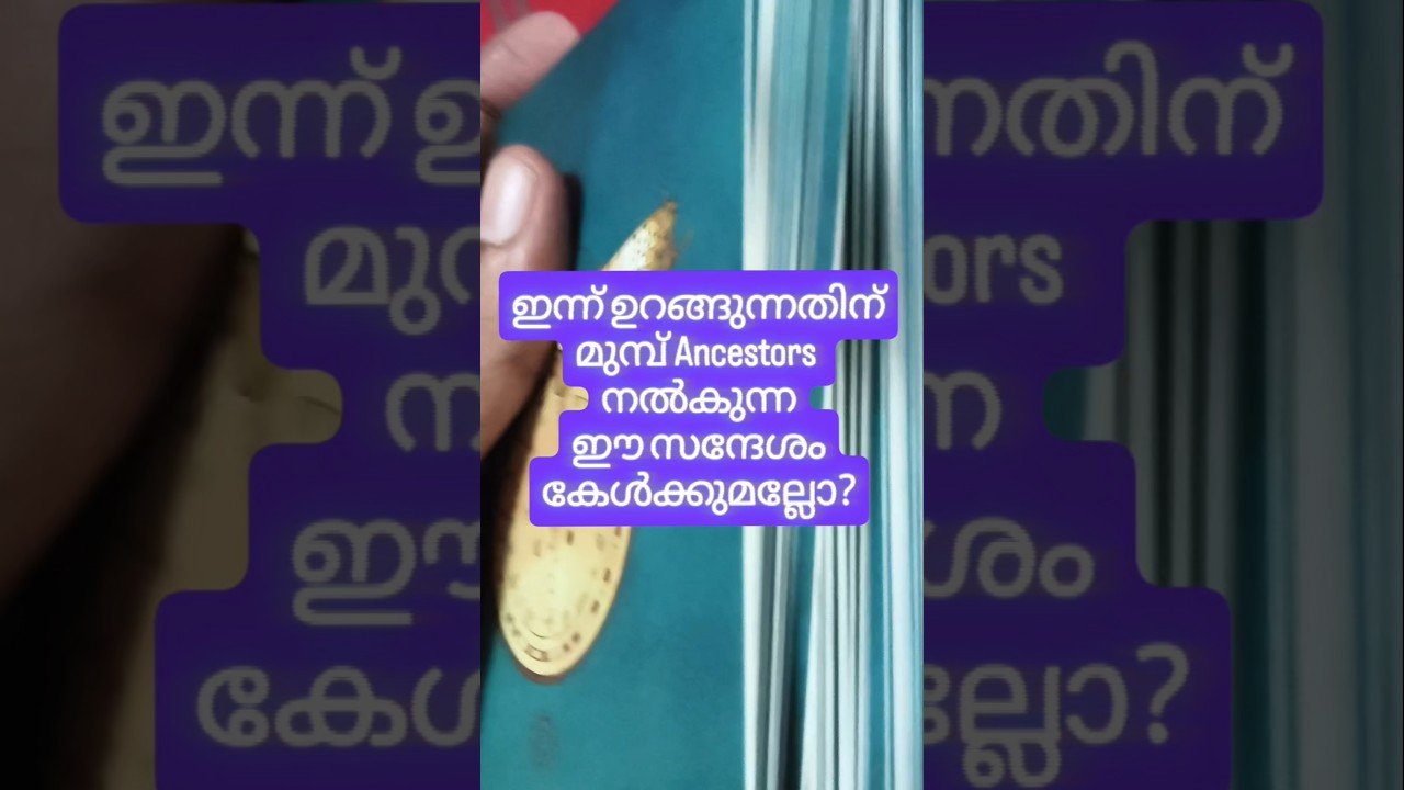 No momento, você está visualizando നിങ്ങളുടെ ഉള്ളിലെ കരുത്തിനെ ഉണർത്തൂ #angeloracle #malayalmtarotreading #tarot