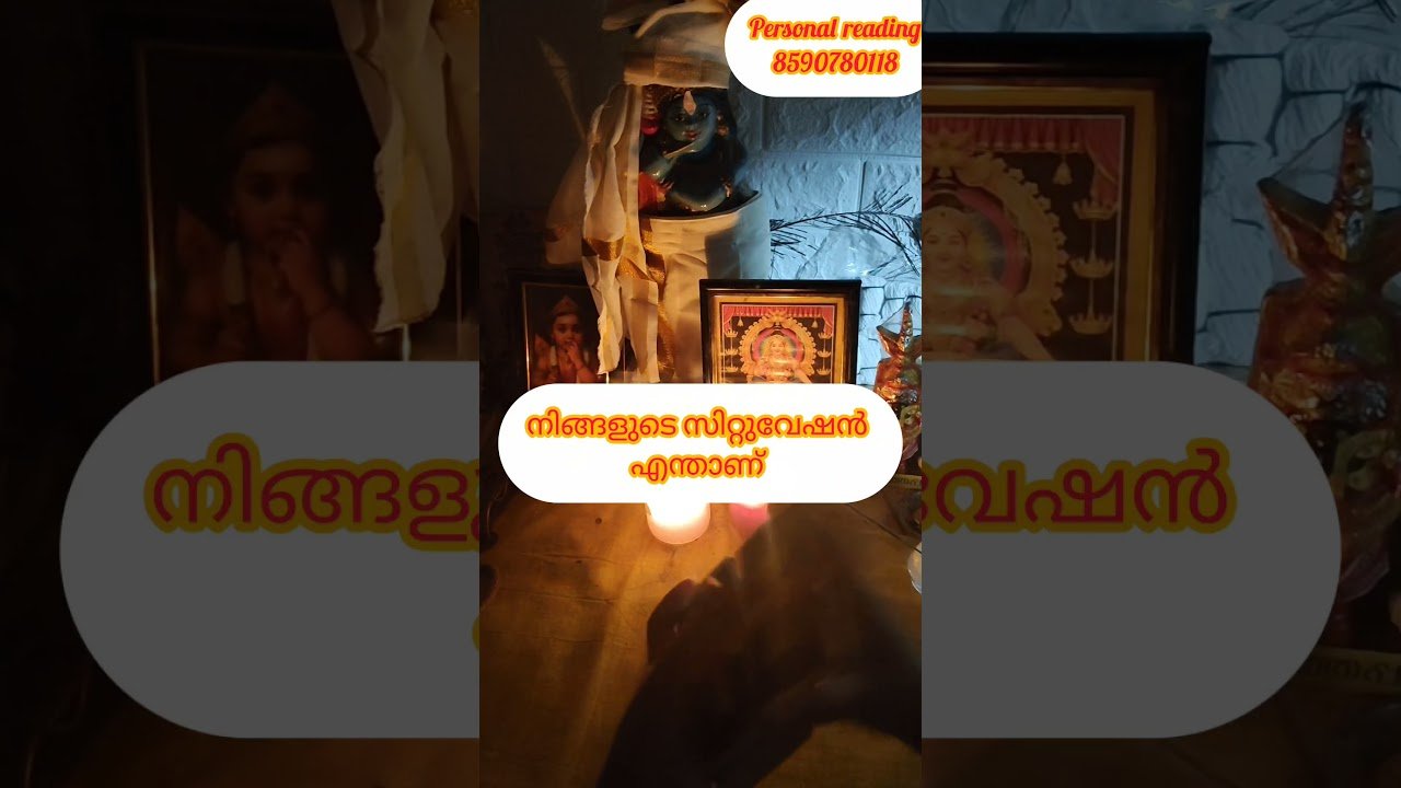 No momento, você está visualizando നിങ്ങളുടെ സിറ്റുവേഷൻ എന്താണ് 🙏 #timelessreading #astrology #tarot