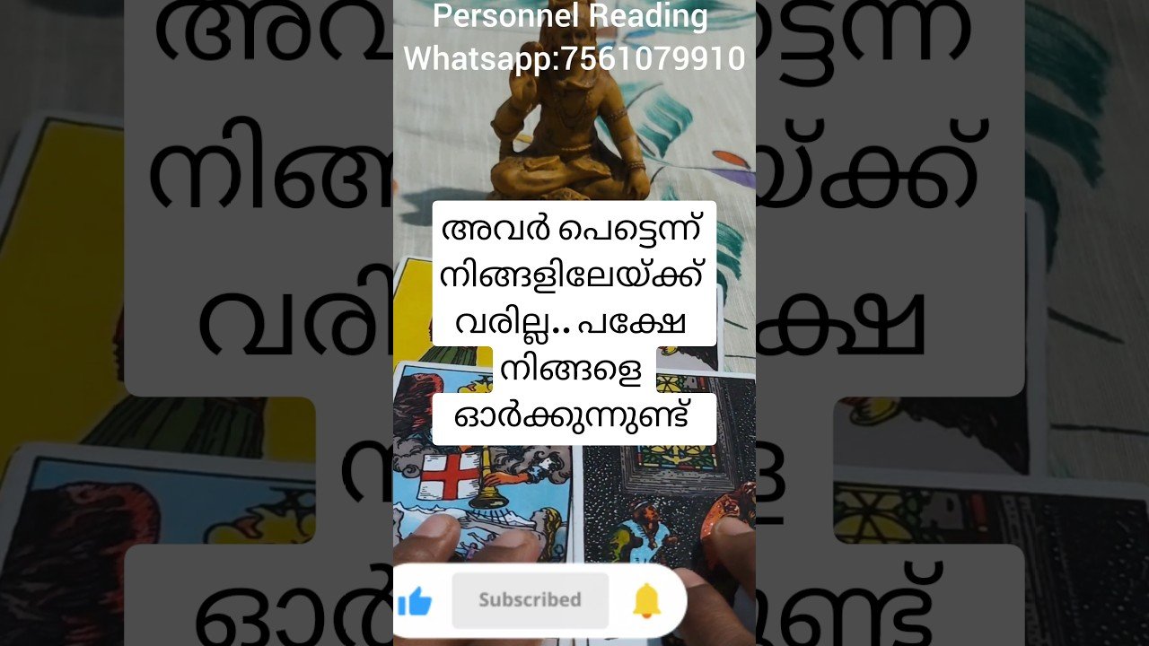 No momento, você está visualizando നിങ്ങളുടെ വ്യക്തിയുടെ Current Feelings #tarot #tarotcaards #tarotreading #mystictarotworld