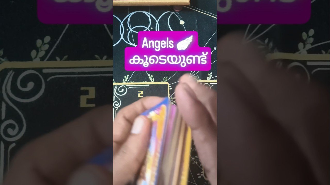 No momento, você está visualizando ഉറങ്ങുന്നതിന് മുമ്പ് കേൾക്കാൻ രസമുണ്ട് #angeloracle #malayalmtarotreading #tarot
