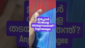 Leia mais sobre o artigo ഉറങ്ങുന്നതിന് മുമ്പ് കേൾക്കാം ഈ Angel messages #angeloracle #malayalmtarotreading #tarot