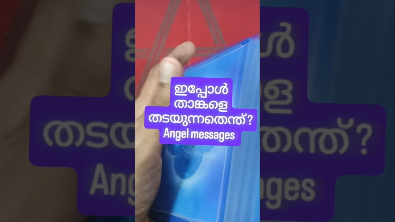 No momento, você está visualizando ഉറങ്ങുന്നതിന് മുമ്പ് കേൾക്കാം ഈ Angel messages #angeloracle #malayalmtarotreading #tarot