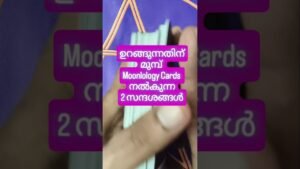 Leia mais sobre o artigo ഉറങ്ങുന്നതിന് മുമ്പ് കേൾക്കാം ഈ സന്ദേശങ്ങൾ #angeloracle #malayalmtarotreading #tarot