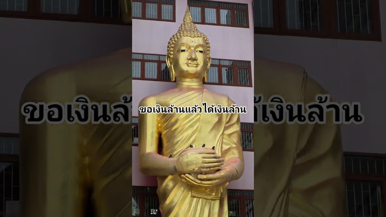 No momento, você está visualizando ขอเงินล้านได้เงินล้าน #ดูดวง #tarot @user-geed289