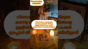 Leia mais sobre o artigo ഇന്നത്തെ രാത്രി 🙏 #timelessreading #astrology #collectivereading #tarot