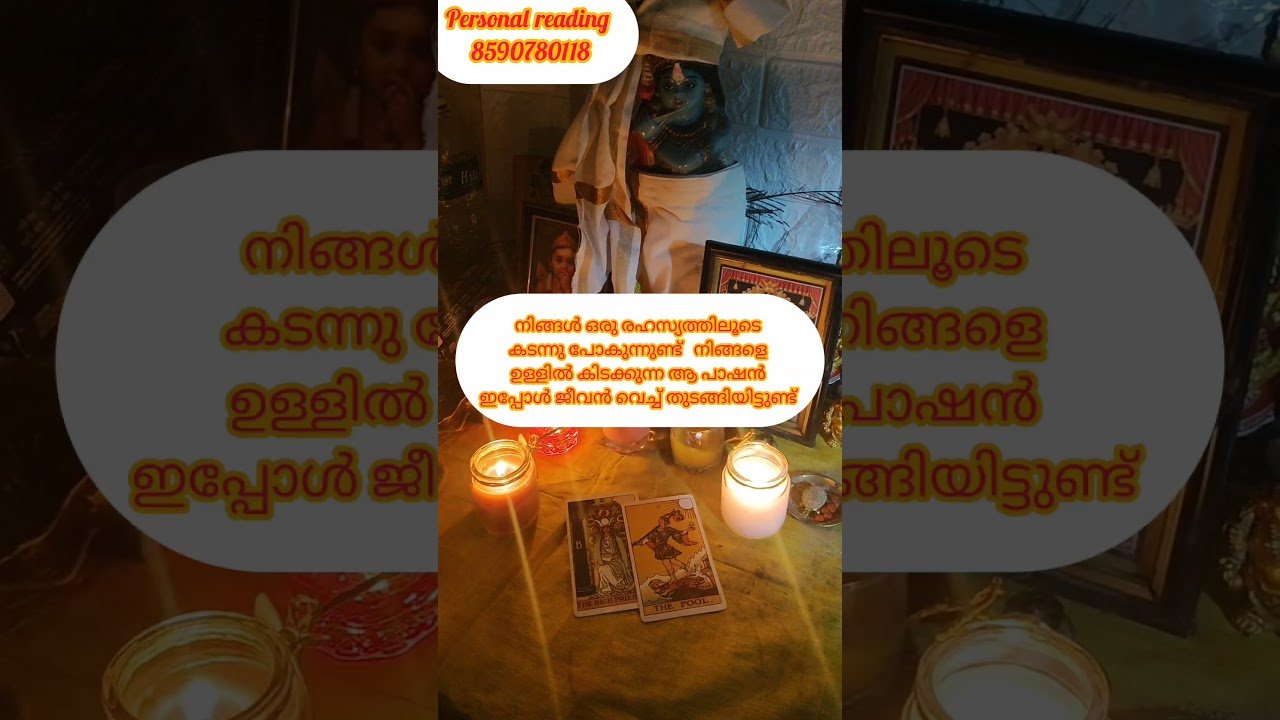 No momento, você está visualizando ഇന്നത്തെ രാത്രി 🙏 #timelessreading #astrology #collectivereading #tarot