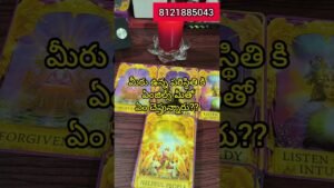 Leia mais sobre o artigo మీరు ప్రస్తుతం ఉన్న పరిస్థితి కి ఏంజెల్ గైడెన్స్?? #shorts#telugu#vishwattarot#tarot#telugu