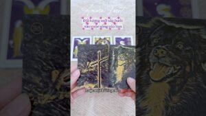 Leia mais sobre o artigo Đối tượng mới sắp bước vào cuộc sống của bạn 💝 #tarot