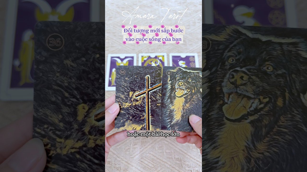 No momento, você está visualizando Đối tượng mới sắp bước vào cuộc sống của bạn 💝 #tarot