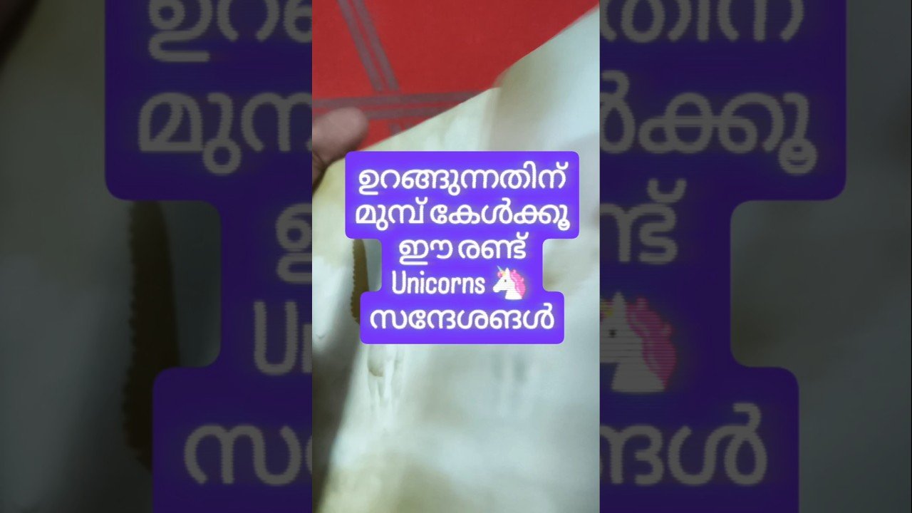 No momento, você está visualizando പുതിയ ഉൽസാഹം പ്രതീക്ഷിക്കാം #angeloracle #malayalmtarotreading #tarot