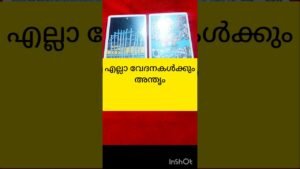 Leia mais sobre o artigo അവസാനം ന്യായം നിങ്ങളുടെ ഭാഗത്ത് #tarot #shortvideo #shortsfeed