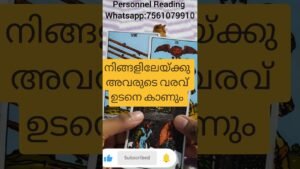 Leia mais sobre o artigo അവരുടെ അടുത്ത നീക്കം എന്താണ് #tarot #cardoftheweek #astrology #tarotcaards #horoscope #tarotreading