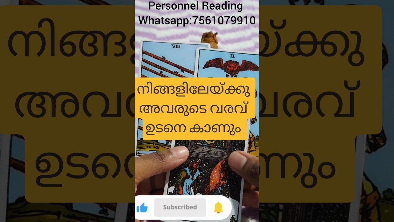 No momento, você está visualizando അവരുടെ അടുത്ത നീക്കം എന്താണ് #tarot #cardoftheweek #astrology #tarotcaards #horoscope #tarotreading