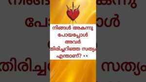 Leia mais sobre o artigo അവർ തിരിച്ചറിഞ്ഞ സത്യം എന്താണ്? #tarot